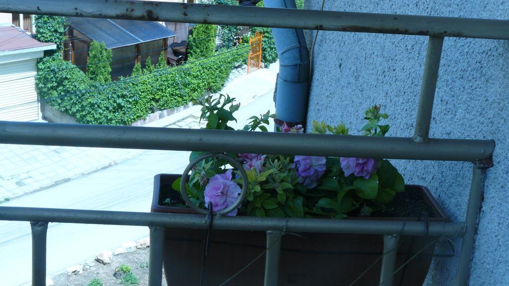 Geto Apartment Belogradchik Eksteriør billede